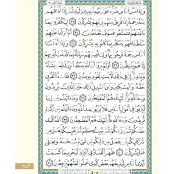 Quran Tajweed Al Sousi Leseart (17x24 cm arabisch)