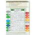 MÄNGELEXEMPLAR - Quran Tajweed mit Übersetzung auf Deutsch und Lautumschrift  (Transkription) - Komplett (Lautschrift)