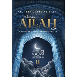 Weil du Allah bist 2